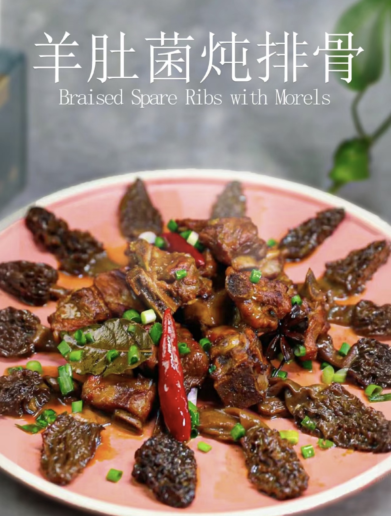 羊肚菌燉排骨 羊肚菌燉排骨